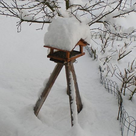 Fewo Talula - Sauerland Mit Hund Leilighet Medebach Eksteriør bilde