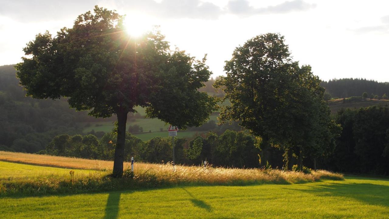 Fewo Talula - Sauerland Mit Hund Leilighet Medebach Eksteriør bilde