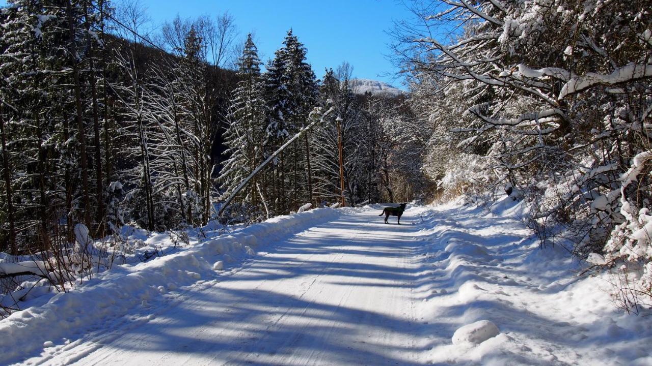 Fewo Talula - Sauerland Mit Hund Leilighet Medebach Eksteriør bilde