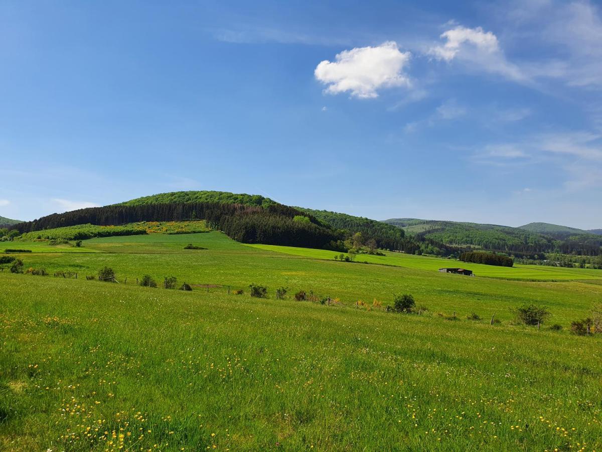 Fewo Talula - Sauerland Mit Hund Leilighet Medebach Eksteriør bilde