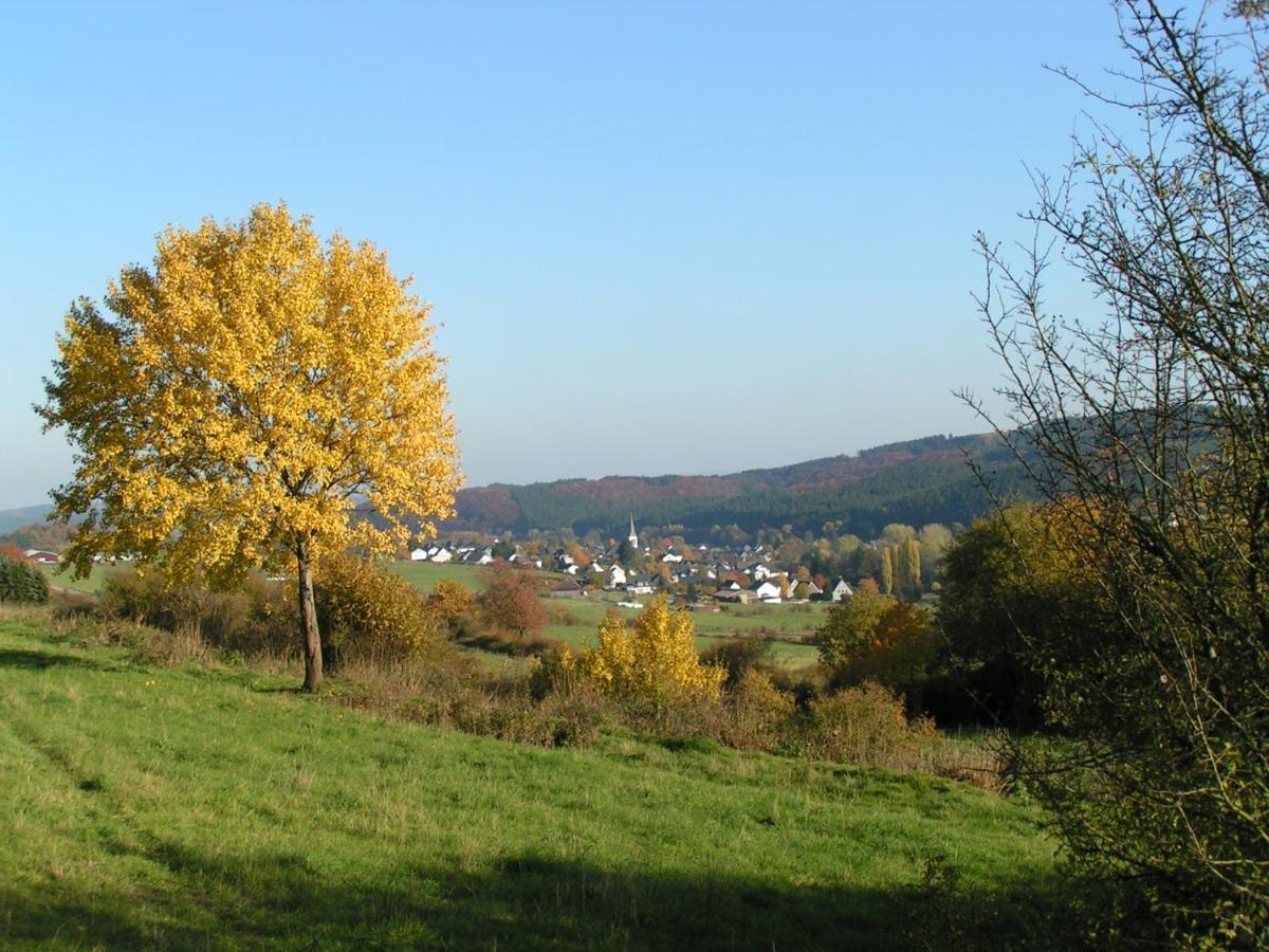 Fewo Talula - Sauerland Mit Hund Leilighet Medebach Eksteriør bilde