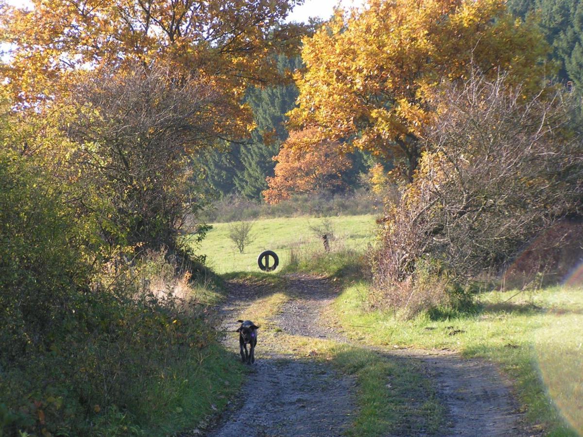 Fewo Talula - Sauerland Mit Hund Leilighet Medebach Eksteriør bilde